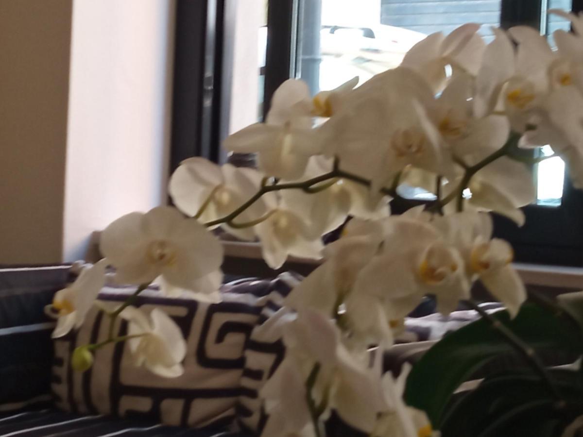 Hotel Touring Λιβόρνο Εξωτερικό φωτογραφία